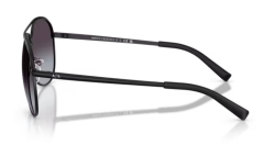 ARMANI EXCHANGE 0AX2002 60008G Unisex Güneş Gözlüğü