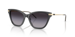 EMPORIO ARMANI 0EA4251 62628G Kadın Güneş Gözlüğü