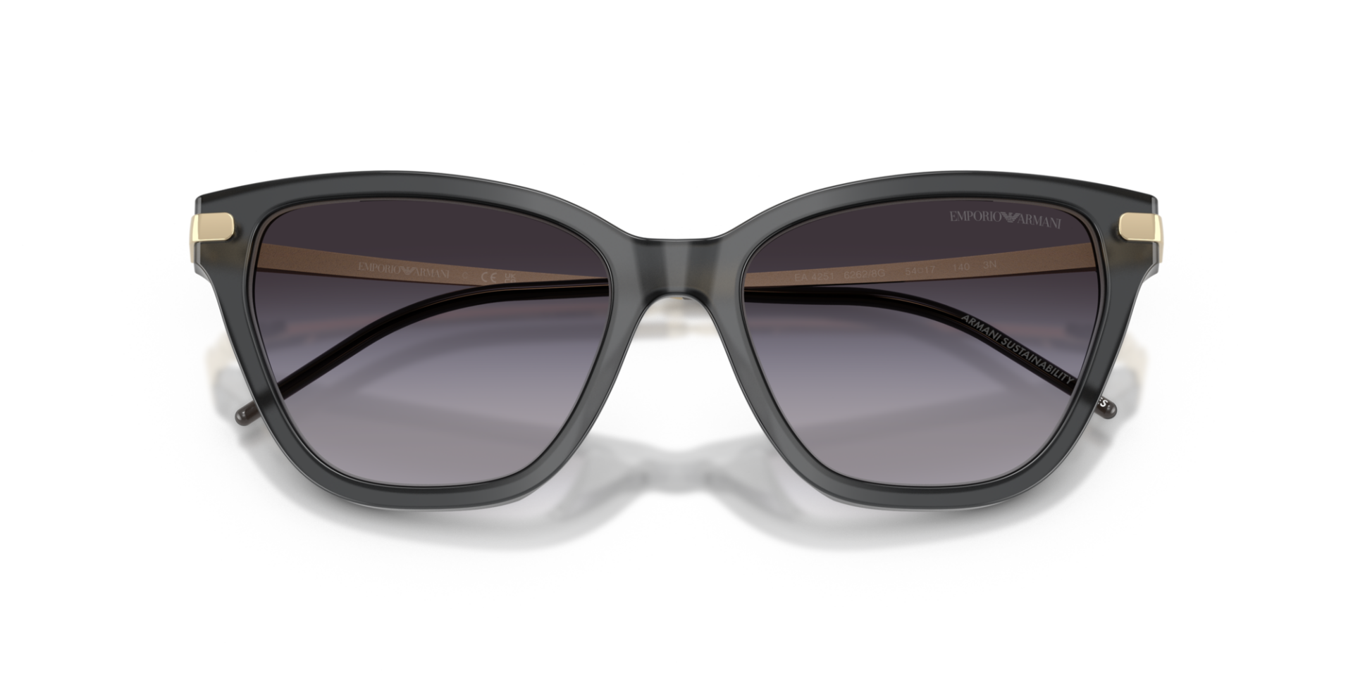 EMPORIO ARMANI 0EA4251 62628G Kadın Güneş Gözlüğü