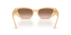 RALPH LAUREN 0RL8231U 624513 Kadın Güneş Gözlüğü