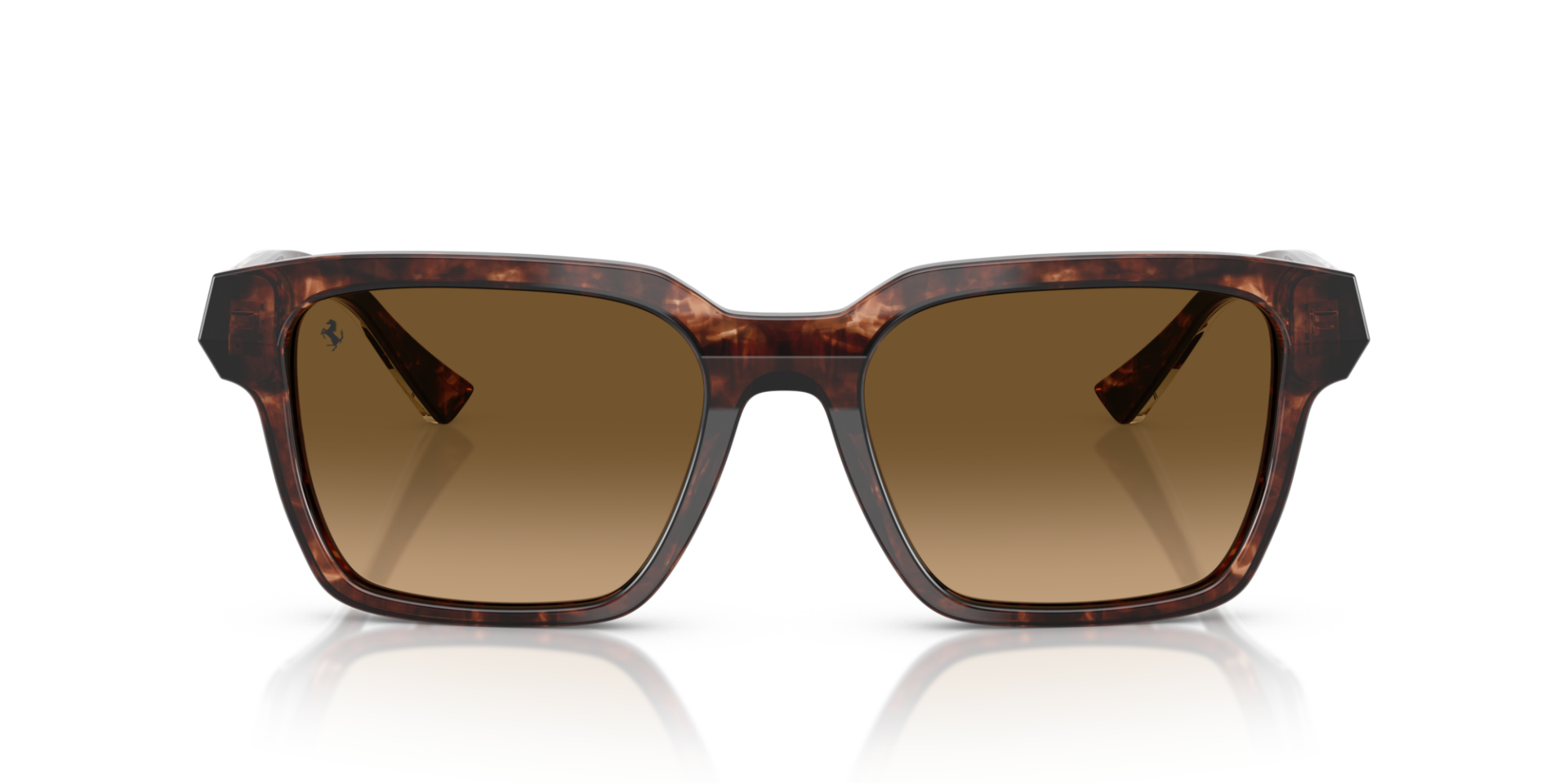 FERRARI 0FH2011U 725/M2 Unisex Güneş Gözlüğü