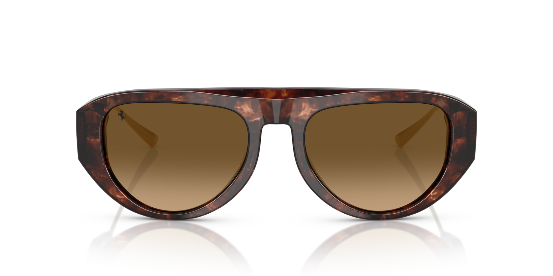 FERRARI 0FH2012U 725/M2 Unisex Güneş Gözlüğü