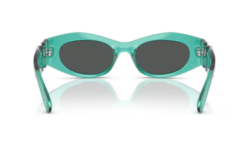 VERSACE 0VE4480U 552987 Kadın Güneş Gözlüğü