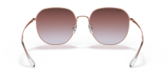 RAY-BAN 0RB3680D 9202I8 Unisex Güneş Gözlüğü