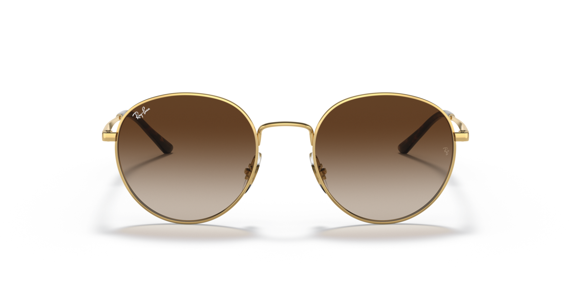 RAY-BAN 0RB3681 001/13 Unisex Güneş Gözlüğü