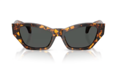 VERSACE 0VE4488U 551487 Kadın Güneş Gözlüğü