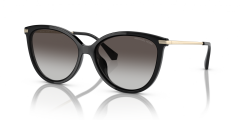 MICHAEL KORS 0MK2184U 30058G Kadın Güneş Gözlüğü