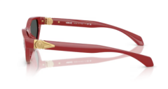 VERSACE 0VE4491U 538887 Kadın Güneş Gözlüğü