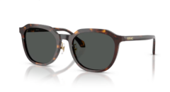 VERSACE 0VE4493D 108/87 Kadın Güneş Gözlüğü