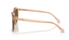 VERSACE 0VE4493D 551883 Kadın Güneş Gözlüğü