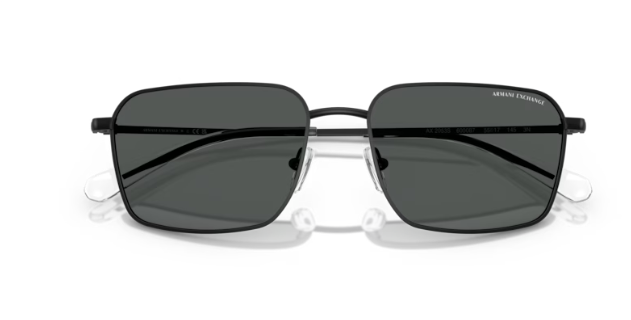 ARMANI EXCHANGE 0AX2053S 600087 Erkek Güneş Gözlüğü