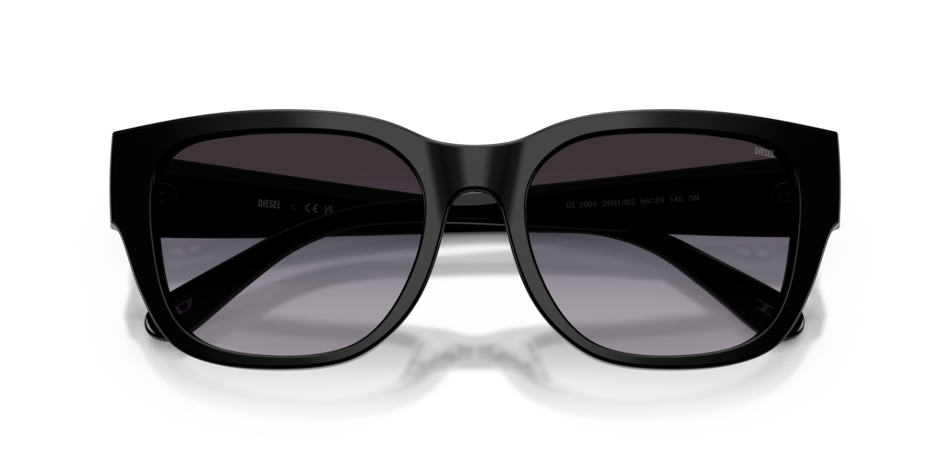 Diesel 0DL2005 20018G Unisex Güneş Gözlüğü