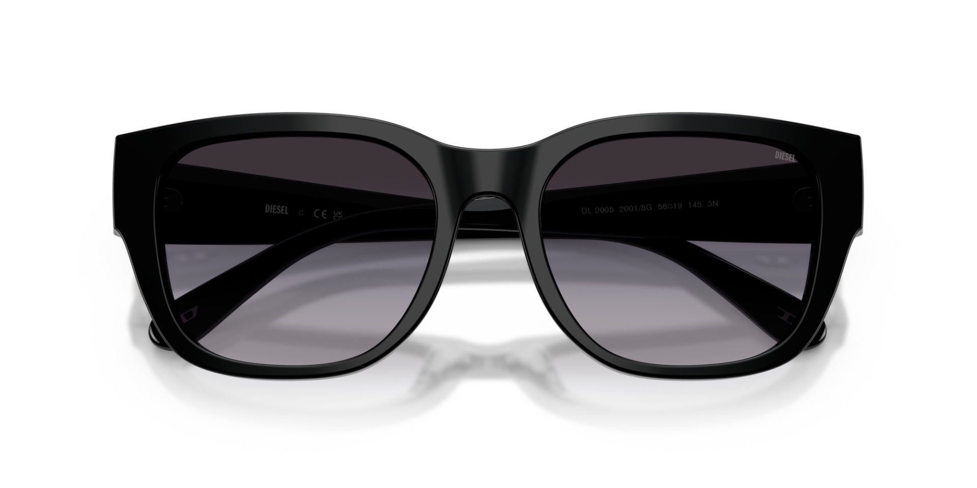 Diesel 0DL2005 20018G Unisex Güneş Gözlüğü