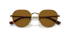 PERSOL 0PO2486S 110933 Unisex Güneş Gözlüğü