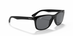 RAY-BAN 0RB4181 601/87 Erkek Güneş Gözlüğü