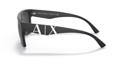 ARMANI EXCHANGE 0AX4113S 81814L Erkek Güneş Gözlüğü