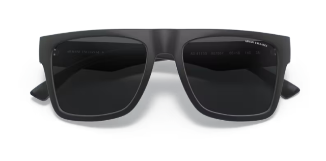 ARMANI EXCHANGE 0AX4113S 81814L Erkek Güneş Gözlüğü