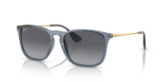 RAY-BAN 0RB4187 6592T3 Erkek Güneş Gözlüğü