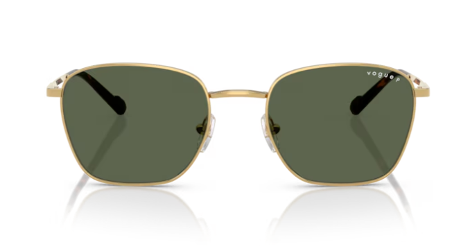 VOGUE 0VO4322S 280/9A Erkek Güneş Gözlüğü