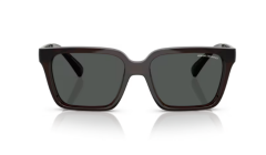 ARMANI EXCHANGE 0AX4147S 835773 Erkek Güneş Gözlüğü