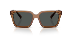 ARMANI EXCHANGE 0AX4147S 835887 Erkek Güneş Gözlüğü