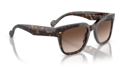 VOGUE 0VO5328S W65613 Erkek Güneş Gözlüğü