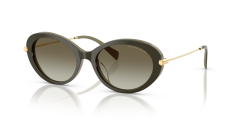 MICHAEL KORS 0MK2245U 40193M Kadın Güneş Gözlüğü