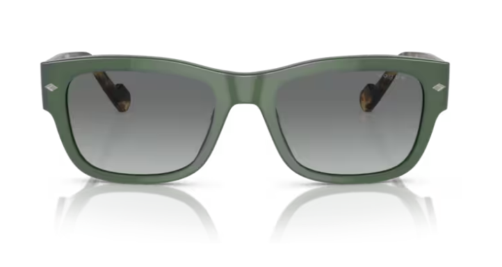 VOGUE 0VO5530S 309211 Erkek Güneş Gözlüğü