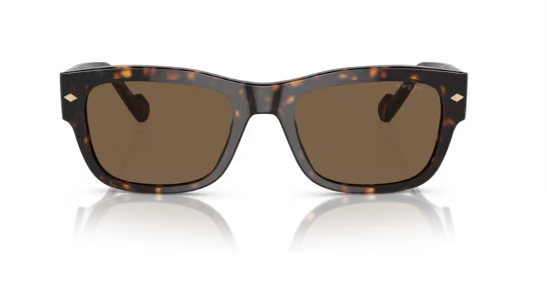 VOGUE 0VO5530S W65673 Erkek Güneş Gözlüğü