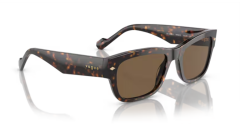 VOGUE 0VO5530S W65673 Erkek Güneş Gözlüğü