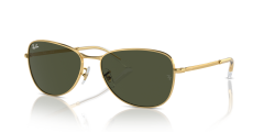 RAY-BAN 0RB3733 001/31 Unisex Güneş Gözlüğü