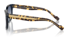 VOGUE 0VO5571S 31434L Erkek Güneş Gözlüğü