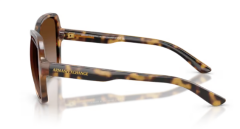 ARMANI EXCHANGE 0AX4029S 811713 Kadın Güneş Gözlüğü