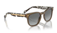 VOGUE 0VO5571S 314411 Erkek Güneş Gözlüğü