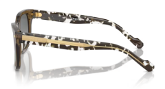 VOGUE 0VO5571S 314411 Erkek Güneş Gözlüğü