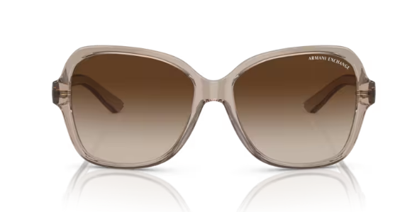 ARMANI EXCHANGE 0AX4029S 824013 Kadın Güneş Gözlüğü