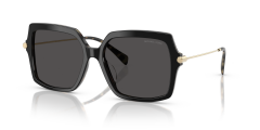 MICHAEL KORS 0MK2247U 395087 Kadın Güneş Gözlüğü