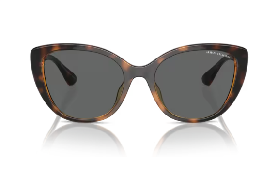 ARMANI EXCHANGE 0AX4111SU 821387 Kadın Güneş Gözlüğü