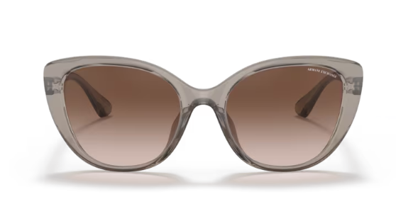 ARMANI EXCHANGE 0AX4111SU 824013 Kadın Güneş Gözlüğü