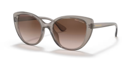 ARMANI EXCHANGE 0AX4111SU 824013 Kadın Güneş Gözlüğü