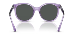 ARMANI EXCHANGE 0AX4120S 823687 Kadın Güneş Gözlüğü