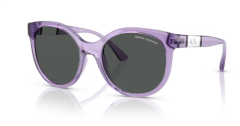 ARMANI EXCHANGE 0AX4120S 823687 Kadın Güneş Gözlüğü