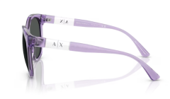 ARMANI EXCHANGE 0AX4120S 823687 Kadın Güneş Gözlüğü