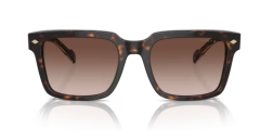 VOGUE 0VO5573S W65613 Erkek Güneş Gözlüğü