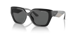 ARMANI EXCHANGE 0AX4125SU 815887 Kadın Güneş Gözlüğü
