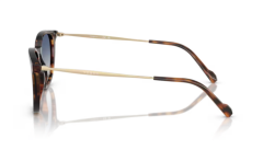 VOGUE 0VO5594SI 28194L Erkek Güneş Gözlüğü