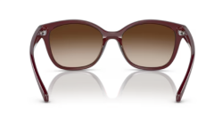 ARMANI EXCHANGE 0AX4127S 824113 Kadın Güneş Gözlüğü