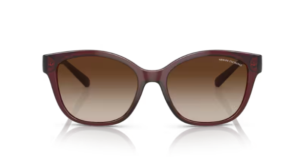 ARMANI EXCHANGE 0AX4127S 824113 Kadın Güneş Gözlüğü