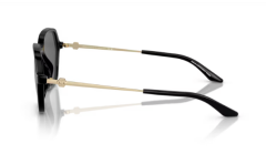 ARMANI EXCHANGE 0AX4139SU 815887 Kadın Güneş Gözlüğü