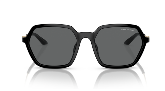 ARMANI EXCHANGE 0AX4139SU 815887 Kadın Güneş Gözlüğü